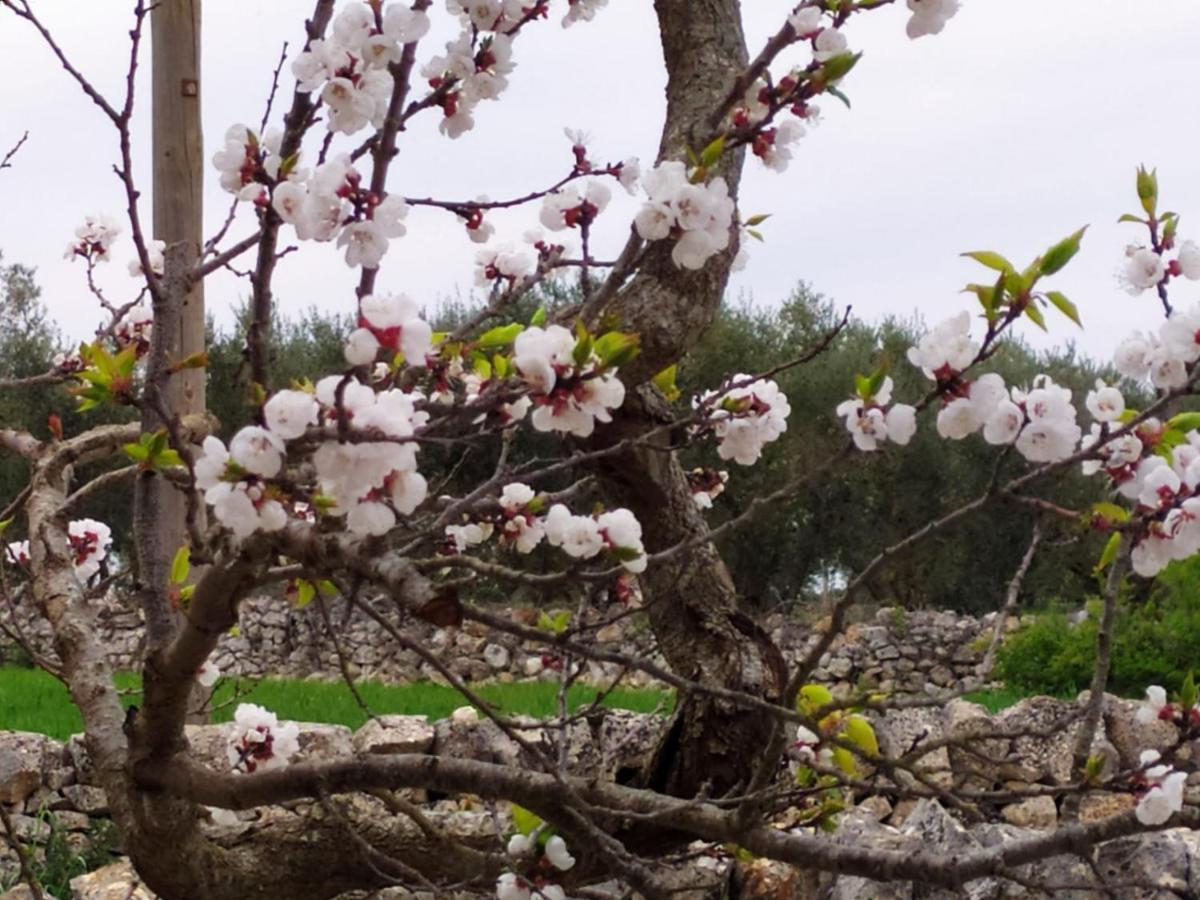 Trulli Demetra Villa Martina Franca Dış mekan fotoğraf