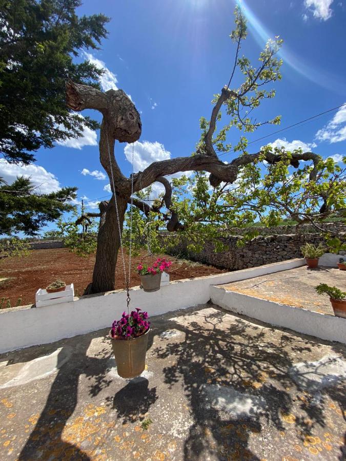 Trulli Demetra Villa Martina Franca Dış mekan fotoğraf